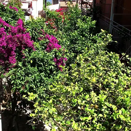 Avra Budget 4* Benitses (Corfu)