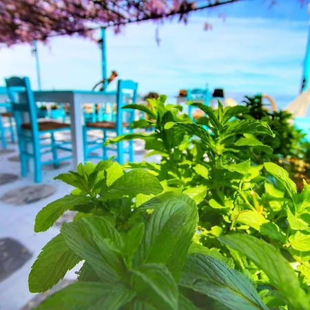 Aparthotel Avra Budget